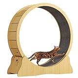 Katzenlaufrad 100 cm – Geräuscharmes Cat Wheel für Große Katzen mit...