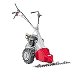 AL-KO Balkenmäher BM 875 IV, 2.7 kW Motorleistung, 87 cm Arbeitsbreite,...