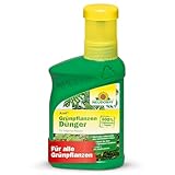 Neudorff Azet Grünpflanzendünger – 100% natürlicher Bio Dünger für...