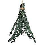 Lueear Getrockneter Eukalyptus für die Dusche, Eukalyptusstiele,...