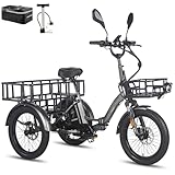 [ Offiziell ] Zulassung Fafrees F20 Mate Klapprad E Bike Dreirad für...