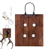 Wand-Pflanzgefäß aus Holz – Hirschhorn-Farn-Hängehalterung,...