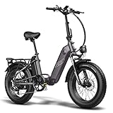 Fafrees FF20 Polar Damen E Bike 20 Zoll Herren Fatbike mit 10,4Ah*2,...