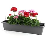 GarPet Blumenkasten Balkon Balkonkasten mit Halterung Blumenkasten mit...