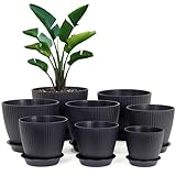 Homeuouz 8 Packs Blumentopf mit Untersetzer,...