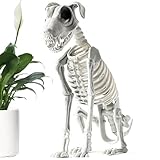 Halloween Skeletthund, Halloween Hunde Skelett, Skelett Sitzender Hund...