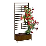 Relaxdays Pflanzkasten mit Spalierwand, HBT 171x71,5x32 cm, Sichtschutz mit...