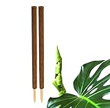 BigDean 2er Set Pflanzstäbe Kokos 110 cm - Monstera Rankhilfe Rankstäbe...