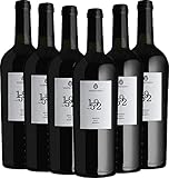 Since 1952 Brindisi Riserva DOC - Cantina Sampietrana mit einem...