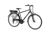 F.lli Schiano E-Ride, E Bike Trekking 28 Zoll, 36V 10.4Ah Abnehmbarer Akku,...