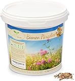 Magic of Nature Blumensamen Mischung - Bienen Paradies - 1kg -...