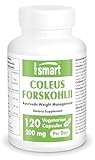 Coleus Forskohlii - Unterstützt das Management des Körpergewichts und die...