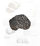 Frischer Schwarzer Trüffel (Tuber Melanosporum) 200 Gramm, Stückgröße...