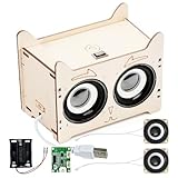 DIY Bluetooth Lautsprecher,Elektronik Baukasten Lautsprecher Bausatz Holz...