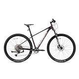 ROCKBROS MT·400 29 Zoll Mountainbike, aus Aluminium Fahrrad mit CUES U6000...