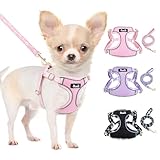 Eyein Hundegeschirr Kleine Hunde mit Leine, Atmungsaktiv Air Mesh...