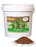 1 kg frische Kresse Samen - Gartenkresse - Microgreens für die Küche im...