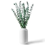 CAwished 12 Stück Getrocknete Eukalyptus Zweige 43 cm Natürliche...