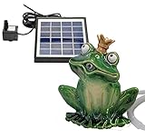 Wasserspeier Frosch 16cm mit Solarpumpe aus Keramik für Miniteich - Balkon...