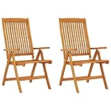 vidaXL 2X Gartenstuhl Gartenstühle Terrassenstuhl Balkonstuhl Garten...