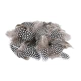 Generisch Federn zum Basteln 50 Stück Natürliche Federn Deko Ostern,...