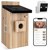 RAINBEAN Bird House with Camera,Nistkasten mit Kamera, 4 Millionen Pixel...