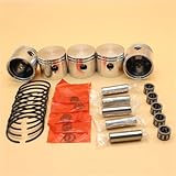 DORFEY 5Set Motor Kolben Lager Ringe Kit Fit for POULAN 1950 2150 2250 2550...