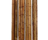 Karamellfarbenes Bambusrohr 100cm Durch. 8 bis 9cm karbonisiert