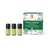 PRIMAVERA ätherische Öle Set Duftende Waldkraft - Geschenkbox 3 x 5 ml...