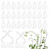 Yoosso 120 Stück Pflanzenclips, 2 Größen Pflanzen Clips Wand Pflanzen...