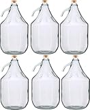lilawelt24 6 STÜCK 5L Gärballon mit SCHRAUBVERSCHLUSS Flasche Glasballon...