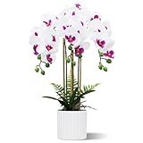 Olrla Künstliche Orchideen Blumenanordnung mit 3 Zweigen im Topf, Weiße...