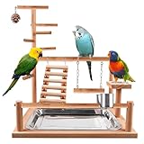 Wellensittich Spielplatz,Vogelspielplatz aus Holz,Papageienspielständer...