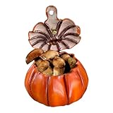 Palaufr Pilz Sammeltasche,Steine Sammelbeutel - Kürbisform Kunstleder...