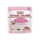 Royal Canin Kitten | 12 x 85 g | Nassfutter für Kitten | Feine Stückchen...