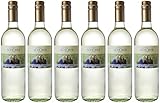 Ing. Richard Schober Pinot Blanc 'Elis-Katrin' 2024 Lieblich (6 x 0.75 l)