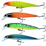 Elbfang© Zander Hecht Wobbler Set | 4 Stück | flachlaufend | Bunte Farben...