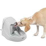 PetSafe Drinkwell Trinkbrunnen Platin, Filtert Wasser für Hunde und...