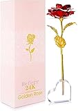 PIQIUQIU Rose Künstliche Infinity Rosen mit Herzständer, für...