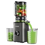Entsafter Slow Juicer mit 120mm XL-Einfüllöffnung für ganze Gemüse und...