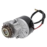 BuyWeek Getriebe Motor DC 36V 350W, Hochtorsion 3000 U/Min Gebürsteten...