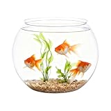 Kleine Fischschale – bruchsicherer Mini-Aquariumbehälter, klare...