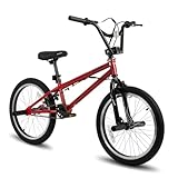 Hiland 20 Zoll Kinder Fahrrad für Jungen Mädchen ab 5-12 Jahre alt, 360...