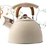 Pfeifkessel - Vintage -Stahlteekanne, klassischer Kochtopf |...