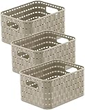 Rotho Country 3er-Set Aufbewahrungskiste 2l in Rattan-Optik, Kunststoff...