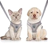 Katzengeschirr Ausbruchsicher Cat Harness Katzengarnitur Geschirr Katzen...