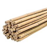 PLANTAWA Bambusstäbe 90 cm Packung mit 25 Stück Ø 10-12 mm | Pflanzstab...