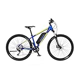 FISCHER E-Mountainbike MONTIS 2.1, Junior Elektrofahrrad für Damen und...