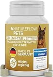 Gelenktabletten Hunde – Test SEHR GUT Made in Germany mit...