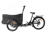 E-Lastenrad E-Donkey Kinder, Lastenrad, Lastenfahrrad, 25 km/h,...